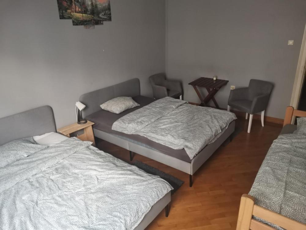 Cozy Palace Hostel Belgrad Exterior foto